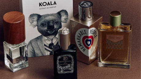 Fragrance Aromachemical Glossary