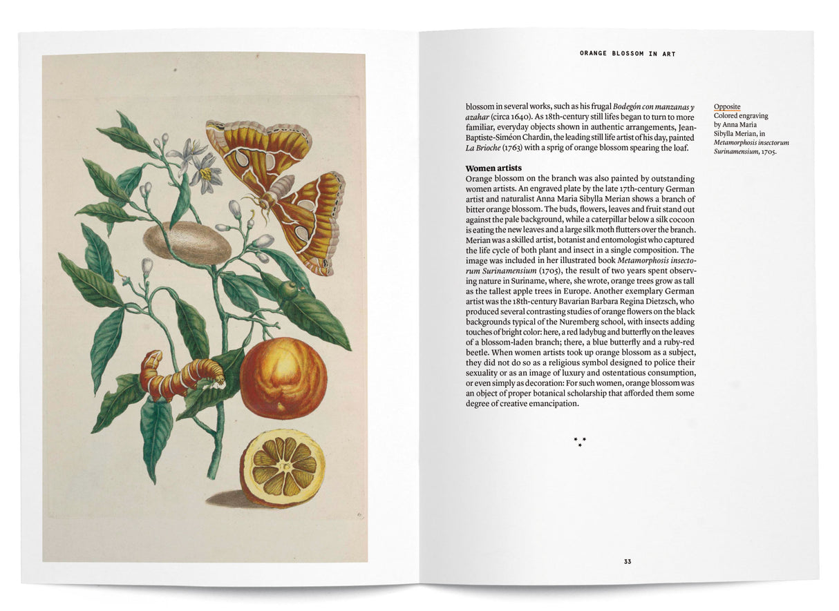Orange Blossom in Perfumery - The Naturals Notebook by NEZ + LMR