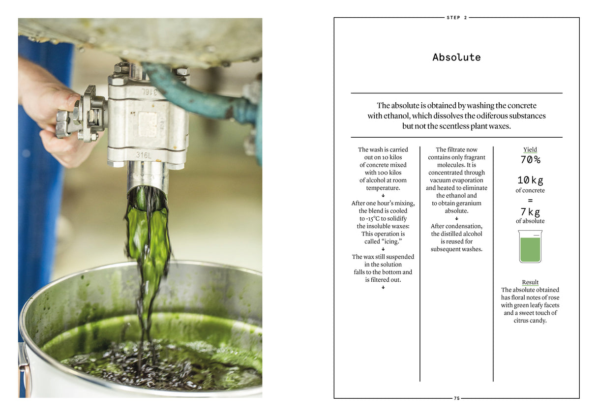 Geranium in Perfumery - The Naturals Notebook by NEZ + LMR
