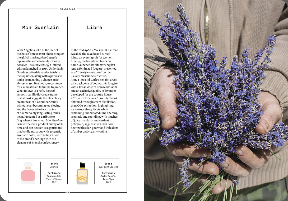 Lavender and Lavandin in Perfumery - The Naturals Notebook by NEZ + LMR