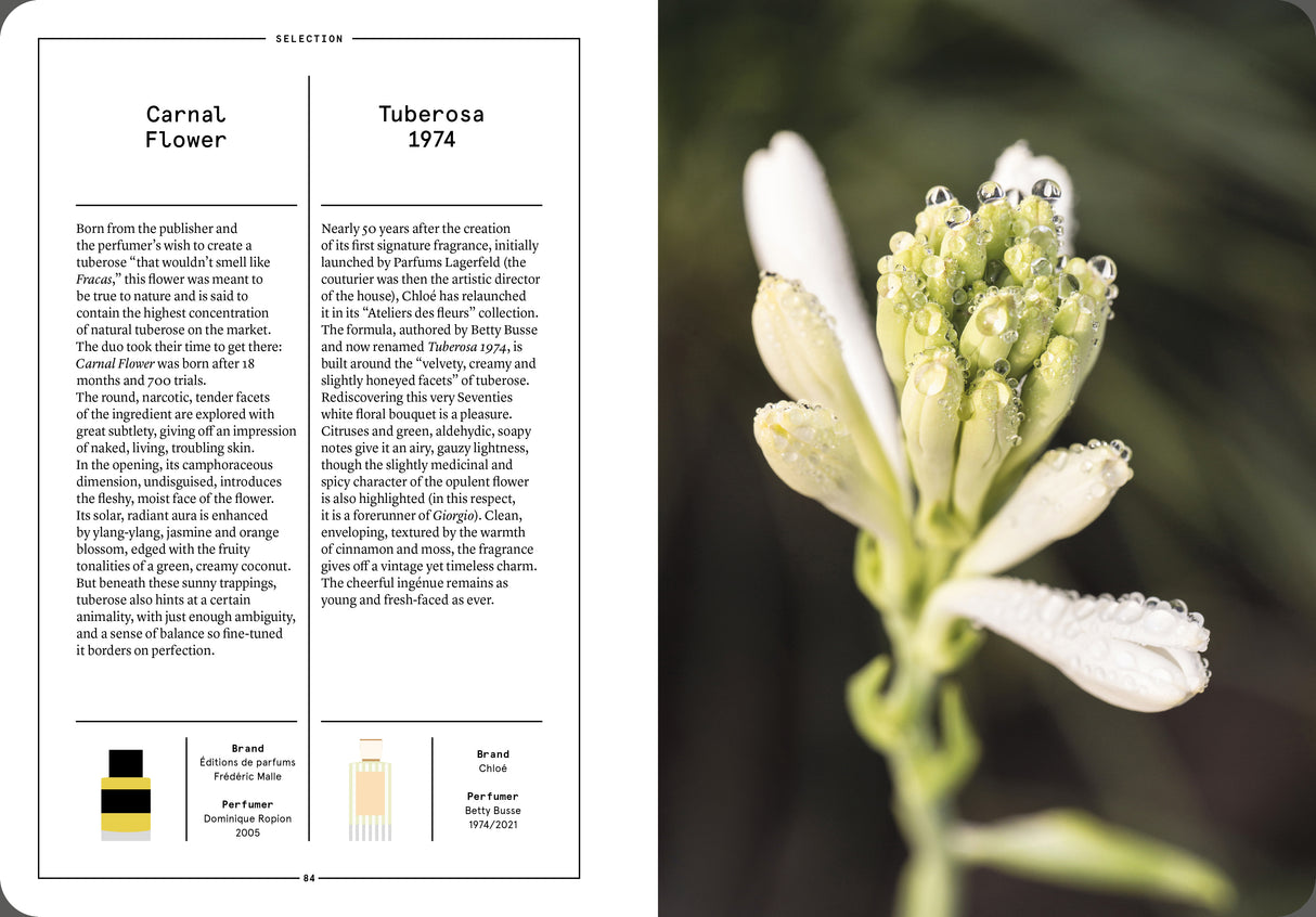 Tuberose in Perfumery - The Naturals Notebook by NEZ + LMR