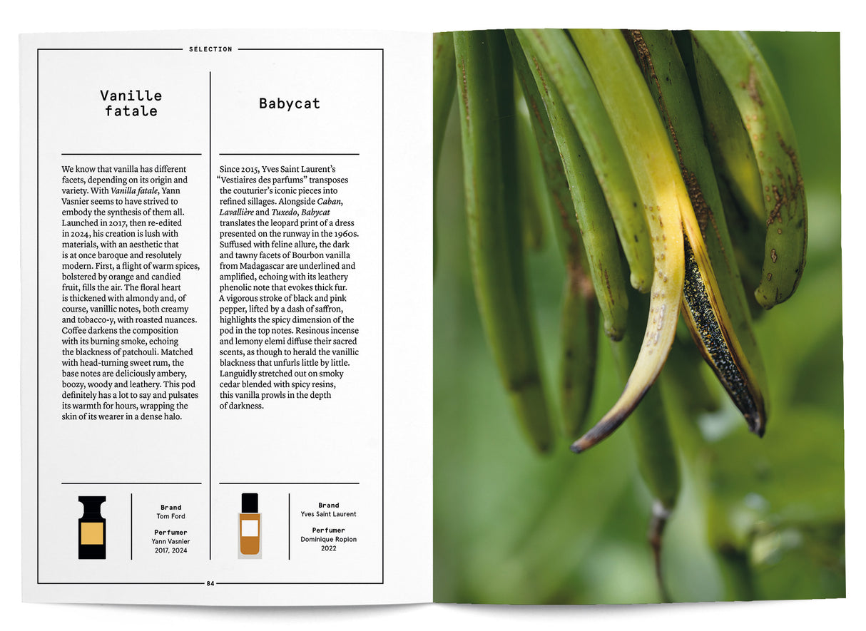 Vanilla in Perfumery - The Naturals Notebook by NEZ + LMR