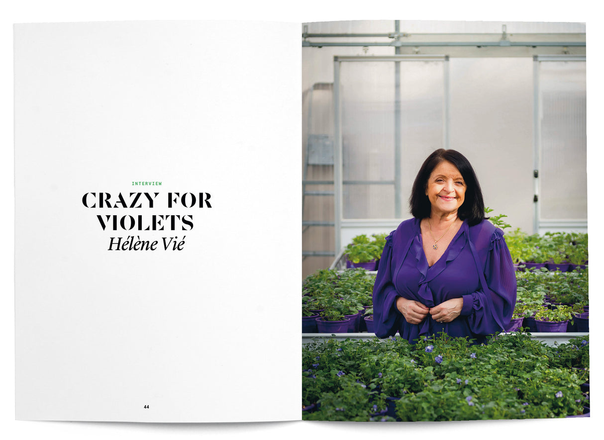 Violet Leaf in Perfumery - The Naturals Notebook by NEZ + LMR