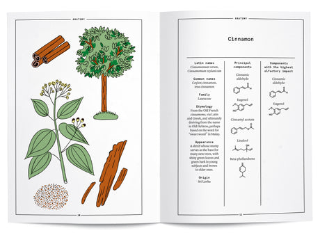 Cinnamon in Perfumery - The Naturals Notebook by NEZ + LMR
