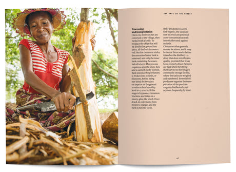Cinnamon in Perfumery - The Naturals Notebook by NEZ + LMR