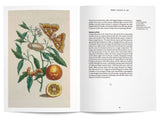Orange Blossom in Perfumery - The Naturals Notebook by NEZ + LMR