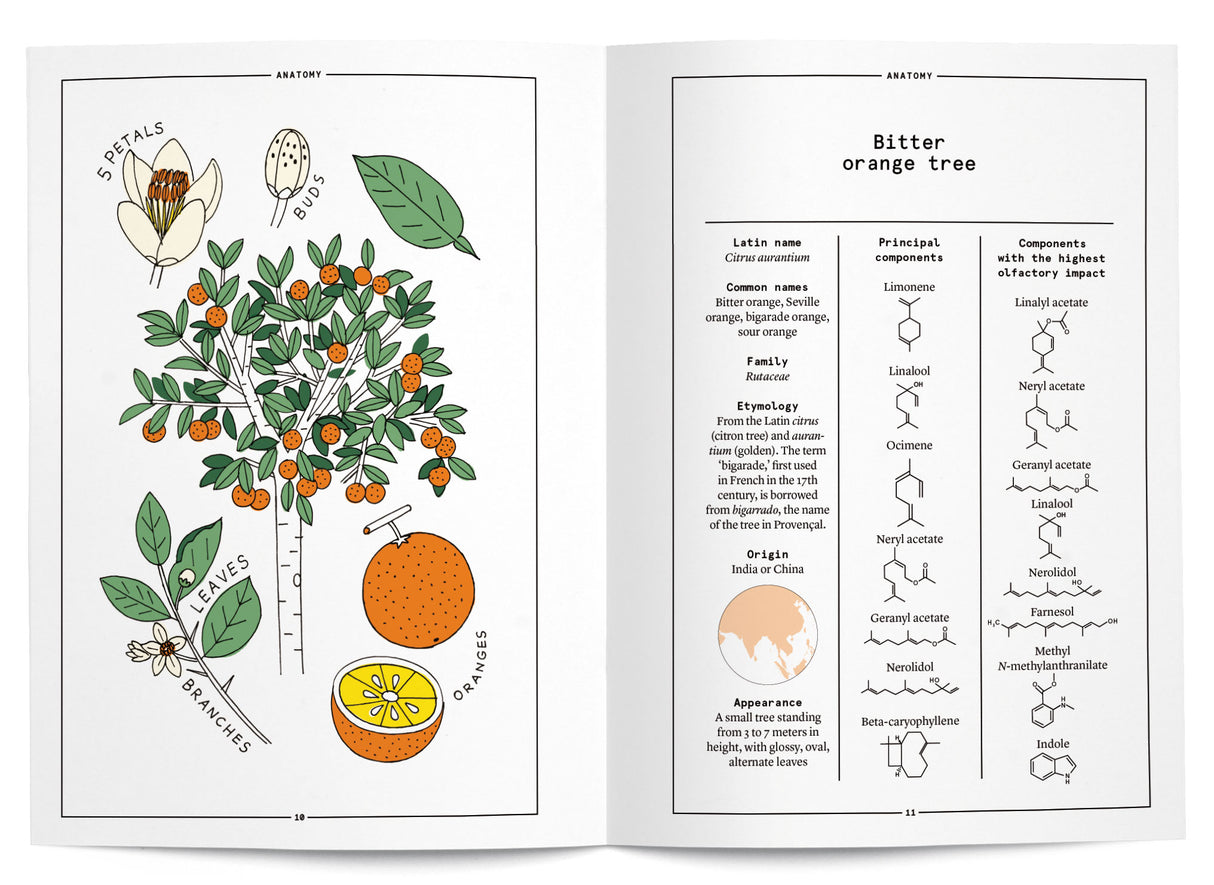 Orange Blossom in Perfumery - The Naturals Notebook by NEZ + LMR