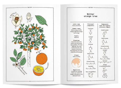 Orange Blossom in Perfumery - The Naturals Notebook by NEZ + LMR