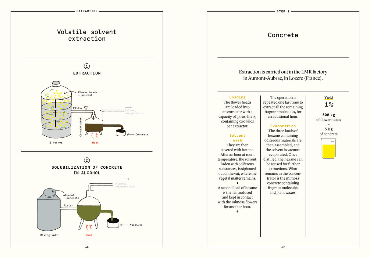 Mimosa in Perfumery - The Naturals Notebook by NEZ + LMR