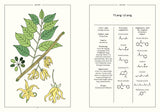 Ylang-Ylang in Perfumery - The Naturals Notebook by NEZ + LMR