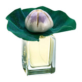 Mendittorosa Mauna Extrait de Parfum 100ml Perfume & Cologne
