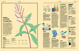 Addictive Substances – NEZ: The Olfactory Magazine (Issue 08)