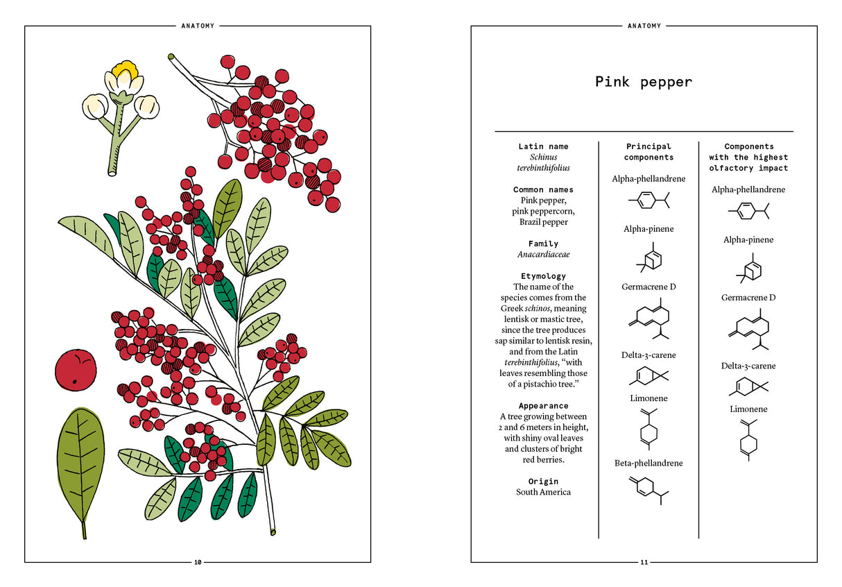 Pink Pepper in Perfumery - The Naturals Notebook by NEZ + LMR