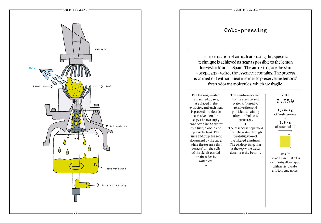 Lemon in Perfumery - The Naturals Notebook by NEZ + LMR