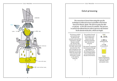 Lemon in Perfumery - The Naturals Notebook by NEZ + LMR