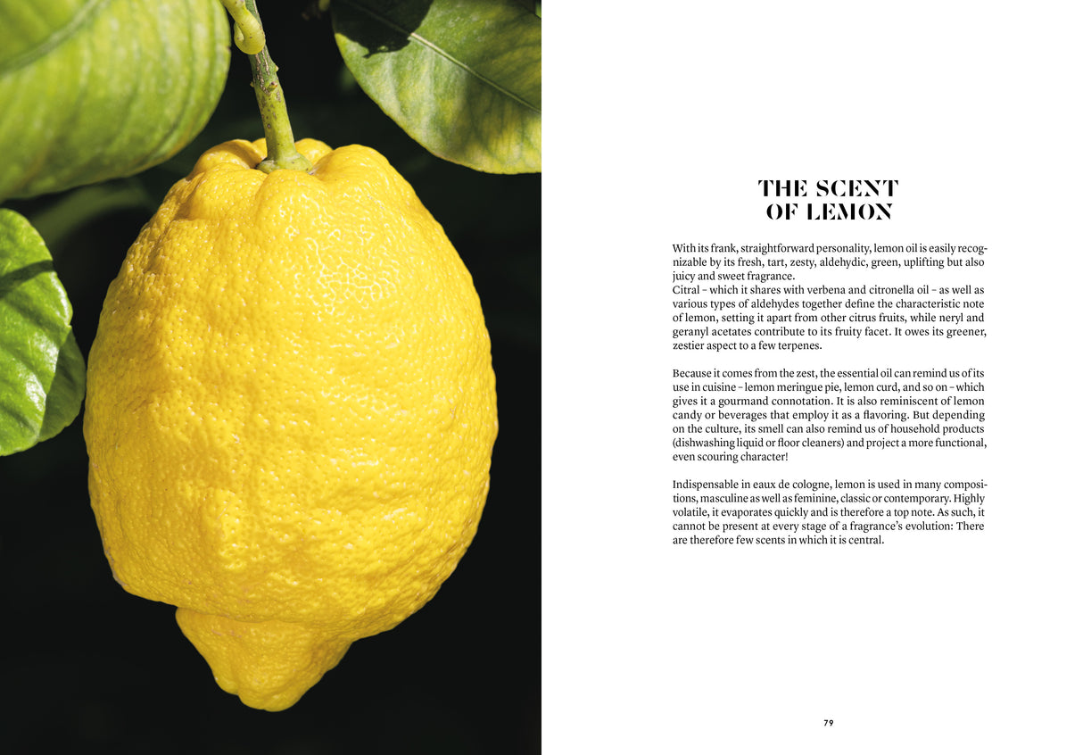 Lemon in Perfumery - The Naturals Notebook by NEZ + LMR