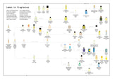 Lemon in Perfumery - The Naturals Notebook by NEZ + LMR