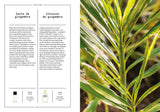 Ginger in Perfumery - The Naturals Notebook by NEZ + LMR