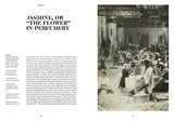 Jasmine Grandiflorum in Perfumery - The Naturals Notebook by NEZ + LMR