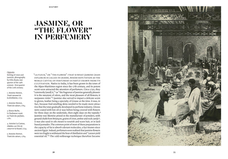 Jasmine Grandiflorum in Perfumery - The Naturals Notebook by NEZ + LMR