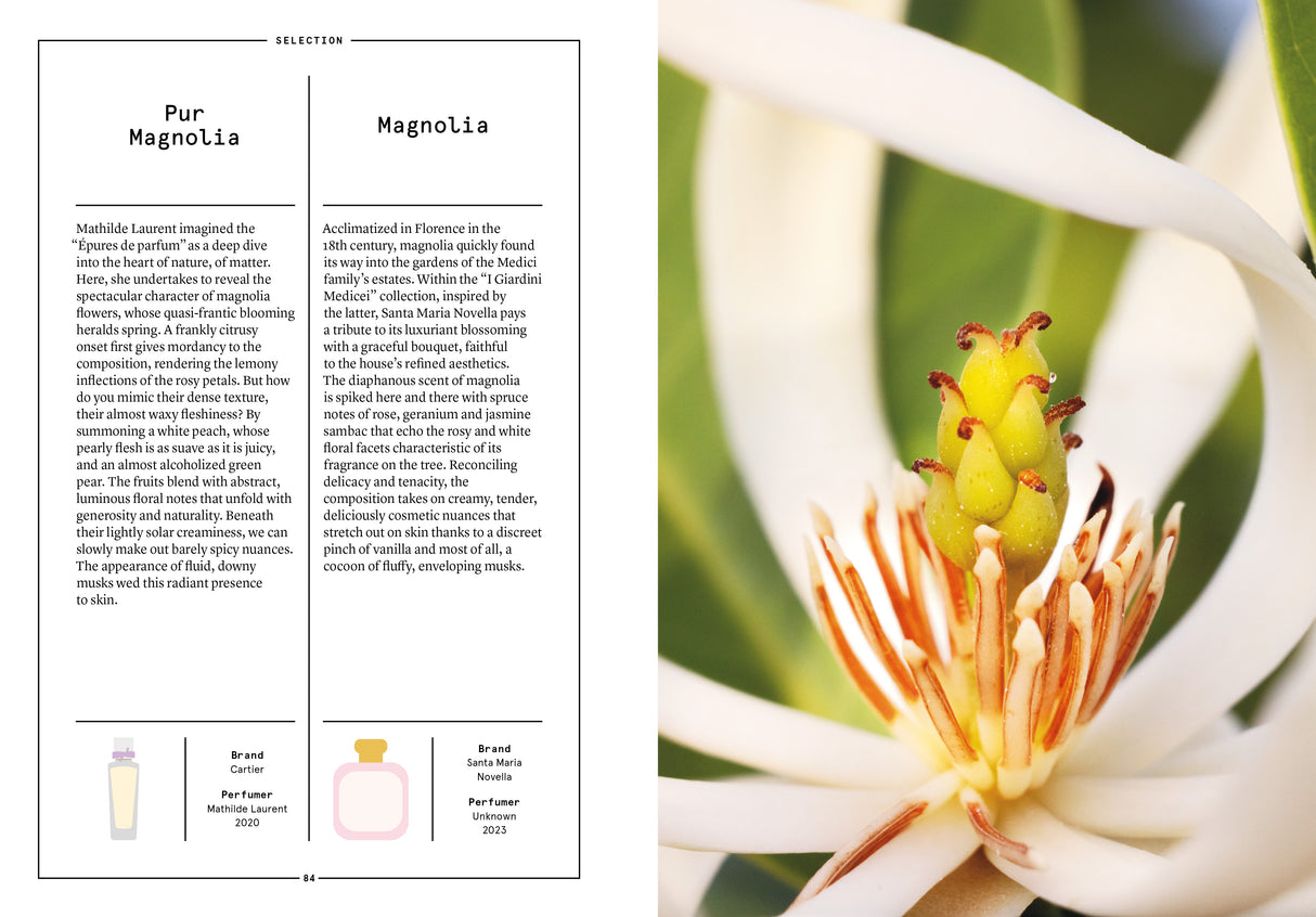 Magnolia in Perfumery - The Naturals Notebook by NEZ + LMR