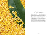 Osmanthus in Perfumery - The Naturals Notebook by NEZ + LMR