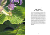 Clary Sage in Perfumery - The Naturals Notebook by NEZ + LMR