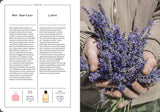 Lavender and Lavandin in Perfumery - The Naturals Notebook by NEZ + LMR