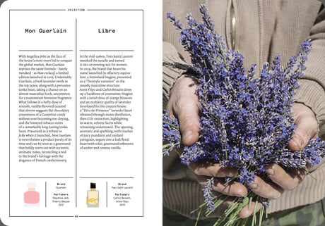 Lavender and Lavandin in Perfumery - The Naturals Notebook by NEZ + LMR