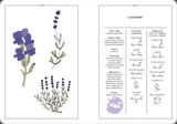 Lavender and Lavandin in Perfumery - The Naturals Notebook by NEZ + LMR