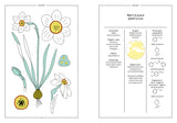 Narcissus in Perfumery - The Naturals Notebook by NEZ + LMR