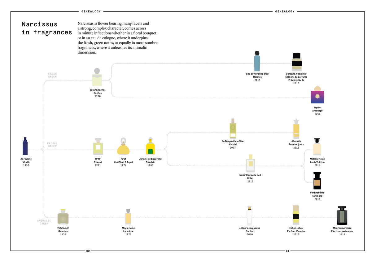 Narcissus in Perfumery - The Naturals Notebook by NEZ + LMR