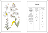 Tuberose in Perfumery - The Naturals Notebook by NEZ + LMR