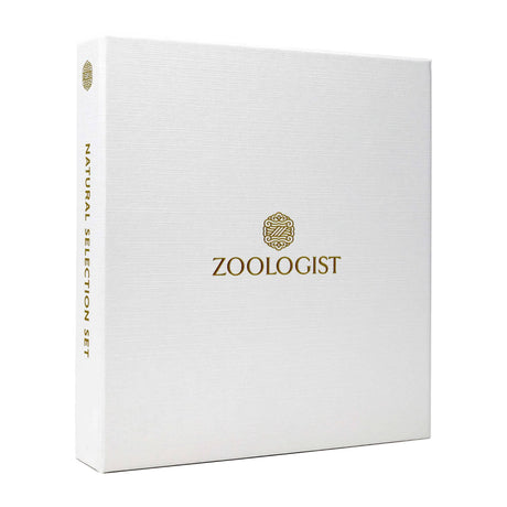 Zoologist Natural Selection Set, 5 x 10ml Perfume & Cologne