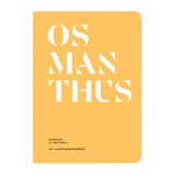 Osmanthus in Perfumery - The Naturals Notebook by NEZ + LMR