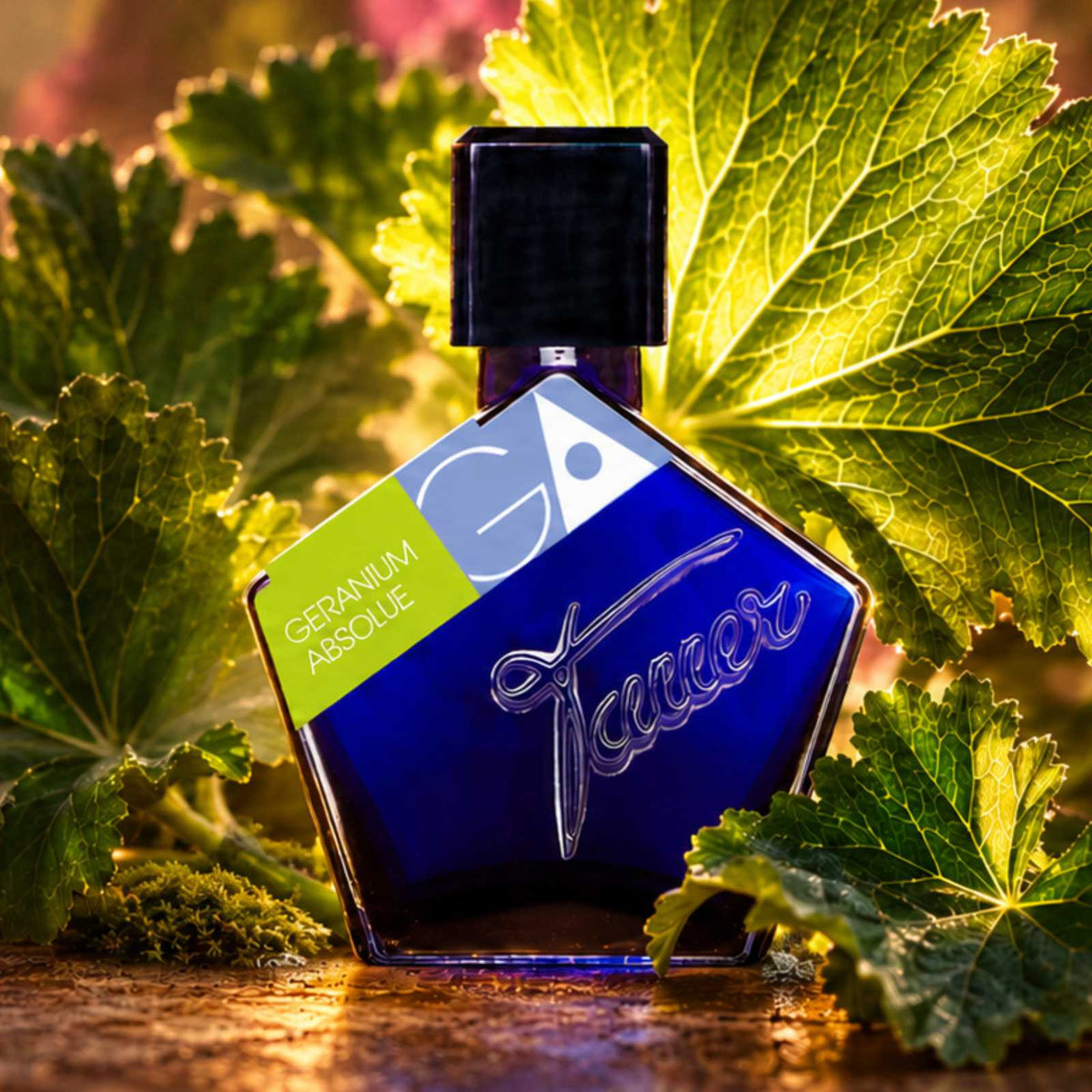 Tauer Geranium Absolue