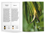 Vanilla in Perfumery - The Naturals Notebook by NEZ + LMR