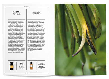 Vanilla in Perfumery - The Naturals Notebook by NEZ + LMR