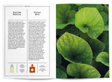 Violet Leaf in Perfumery - The Naturals Notebook by NEZ + LMR