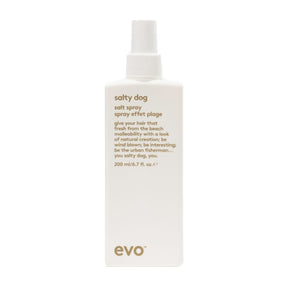 evo Salty Dog Salt Spray, 200ml Hair Styling Products