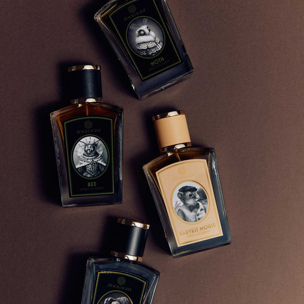 Zoologist Fragrance Discovery at NOAH